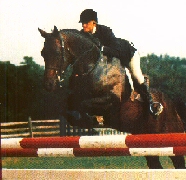 stadium jumping